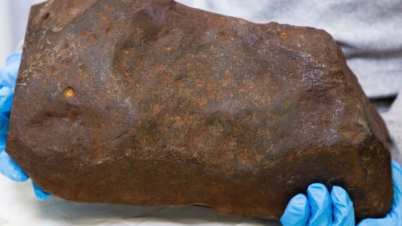 Meteorito achado com detector de metais teve rocha levada ao Museu de Melbourne e revelou material antigo do Sistema Solar.