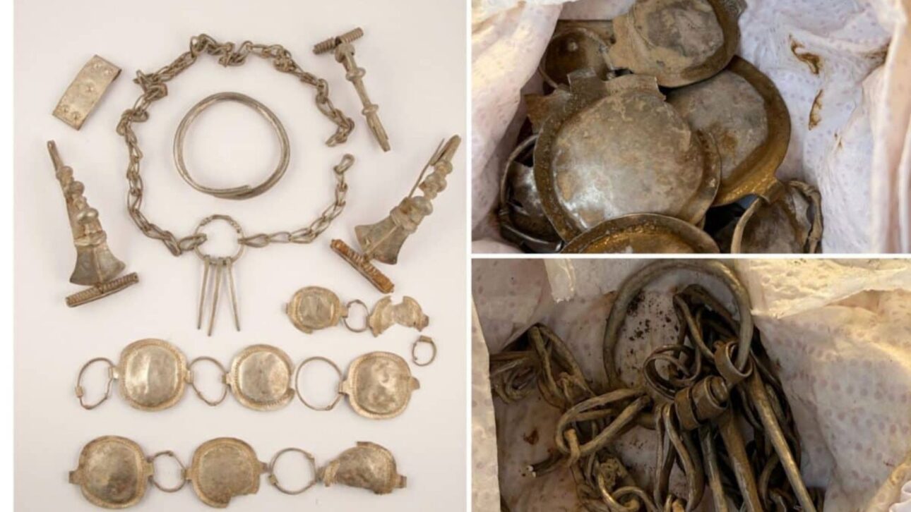 © Indian Defence Review - Detectorists find lost treasure in Transylvania — Experts say this is just the beginning of an incredible discovery!