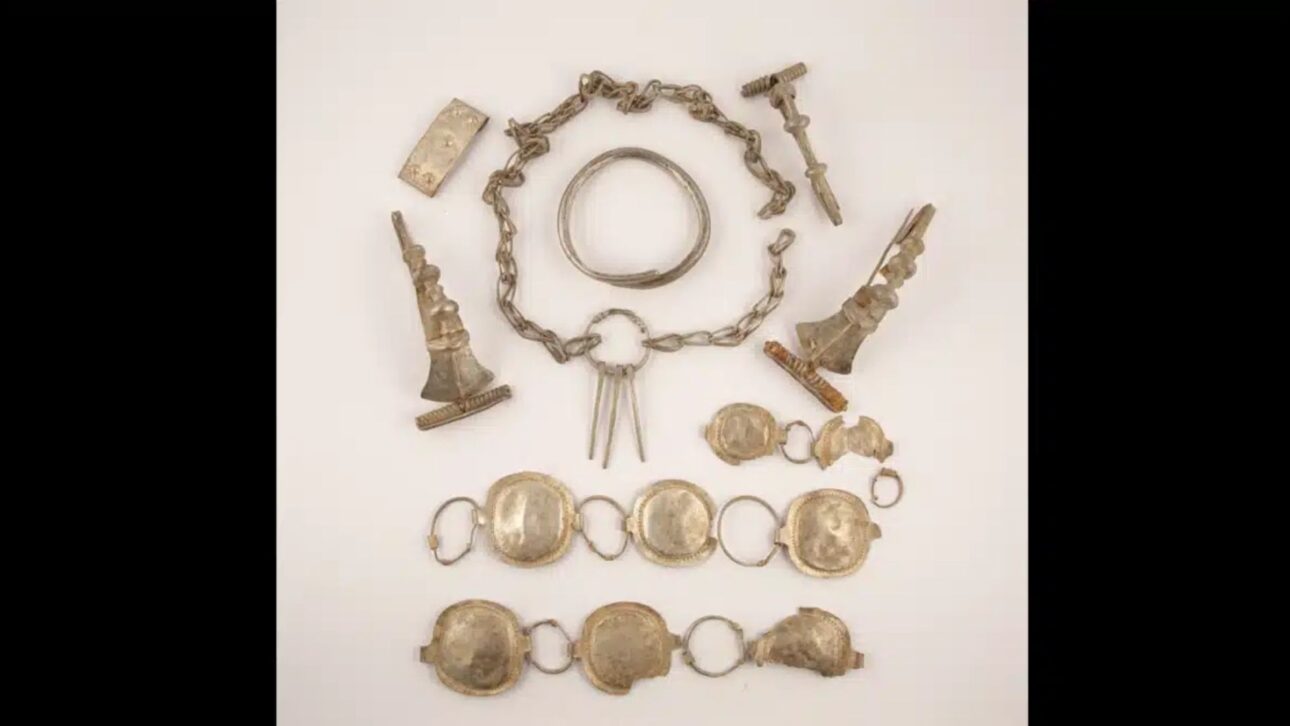 © Indian Defence Review - Detectorists find lost treasure in Transylvania — Experts say this is just the beginning of an incredible discovery!