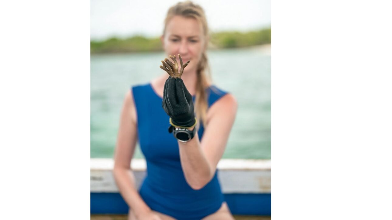 Amanda Hi-c em frente ao oceano.
imagem: amandahic