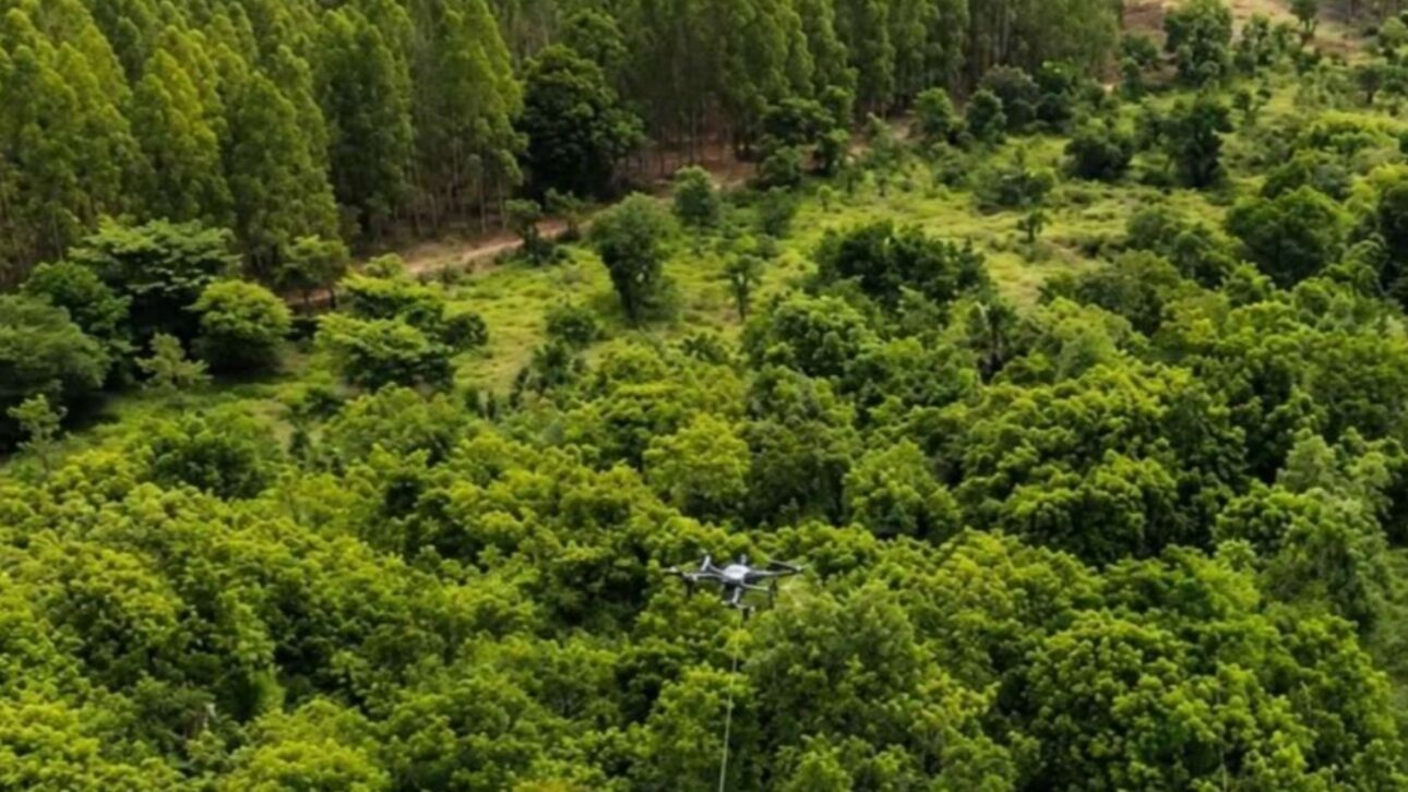Arauco used drones in the installation of high-voltage cables in Mato Grosso do Sul in July 2026, a technology that preserved 33.29 hectares of native vegetation in the Sucuriú ProjectPhoto: Arauco/Reproduction