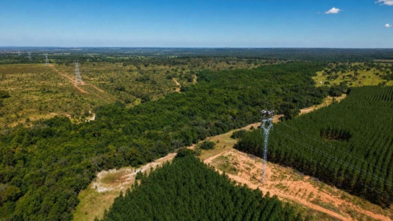 Arauco uses drones in high voltage to prevent deforestation in MS. Learn how innovative technology supports the Sucuriú ProjectPhoto: Arauco/Reproduction