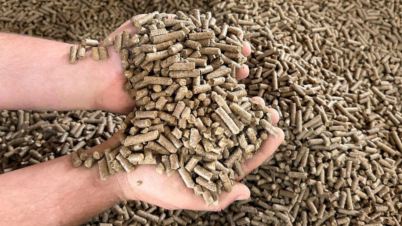 Pellets feitos a partir de resíduos do café movimentam a fábrica em Varginha e atendem indústrias que buscam alternativas de aquecimento mais sustentáveis | Foto: Divulgação Geraldo Aureliano Sakey