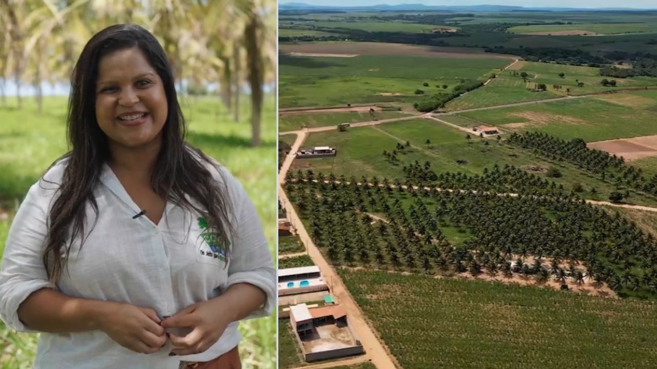 Engenheira de petróleo voltou para Penedo após luto familiar, pegou uma plantação de coco usada como pastagem, estruturou a marca Coco Bom, passou a processar até 1.000 cocos por (3)