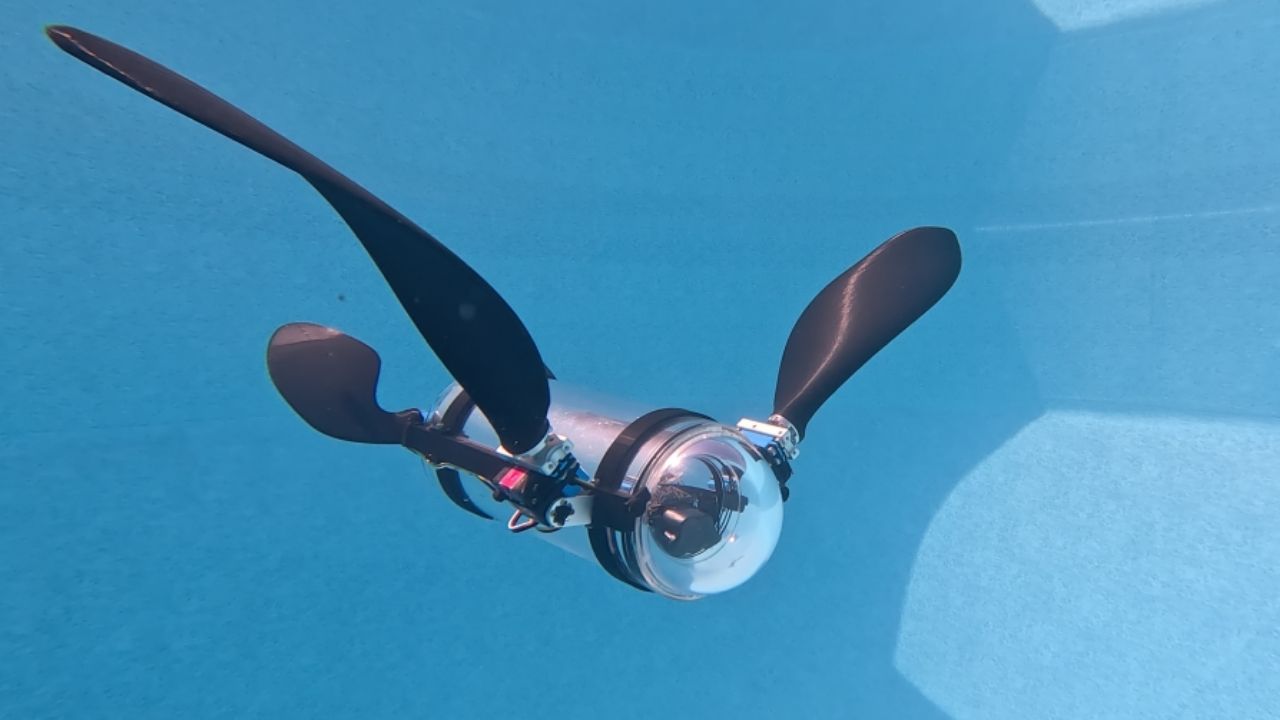 Robô caça microplásticos com inteligência artificial, câmera holográfica 3D e vence feira científica ao revelar ameaça no oceano.