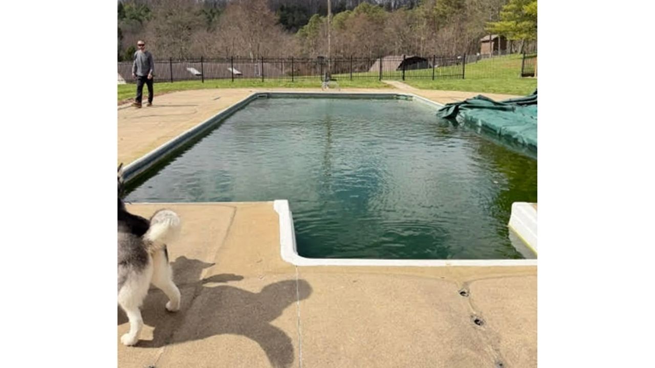 Em Ohio, família recupera piscina abandonada: reforma da piscina transforma o quintal e viraliza no TikTok após gasto de US$ 11 mil.
