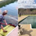 Família compra casa em Ohio, nos EUA, com piscina abandonada, remove a cobertura e encontra água verde e preta, lona rasgada e reforma de mais de US$ 11 mil, transformando