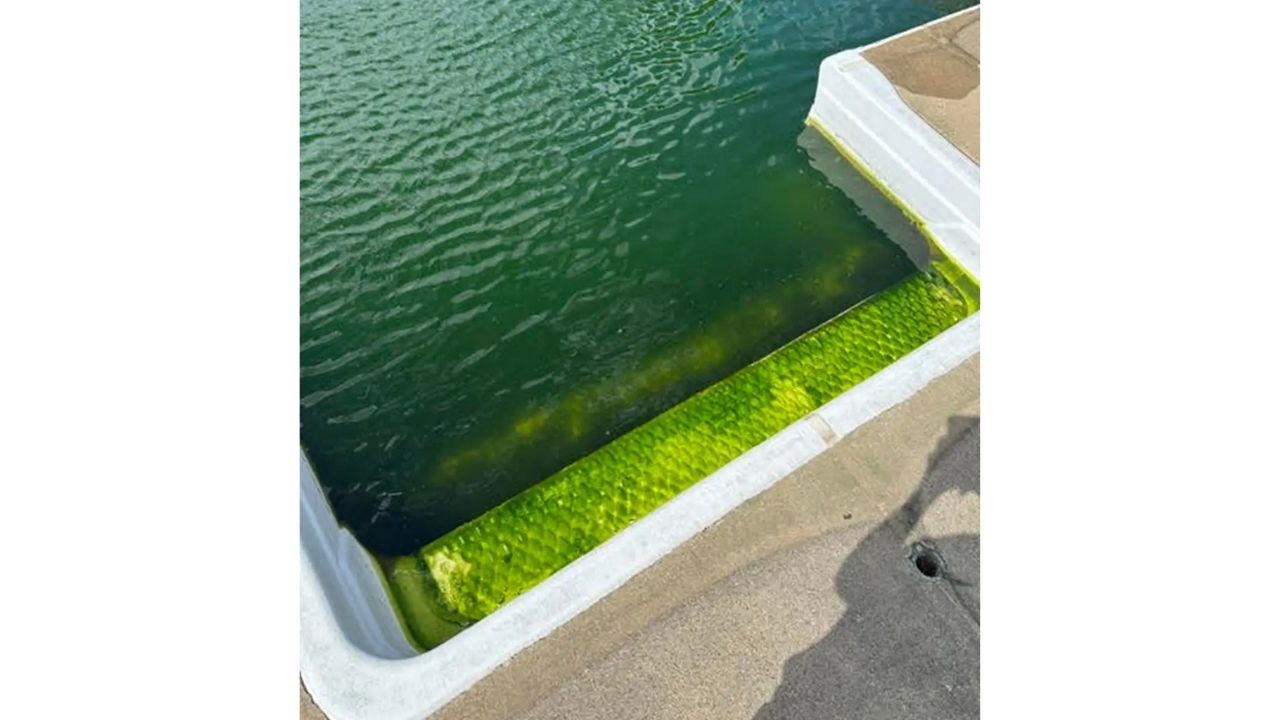 Em Ohio, família recupera piscina abandonada: reforma da piscina transforma o quintal e viraliza no TikTok após gasto de US$ 11 mil.