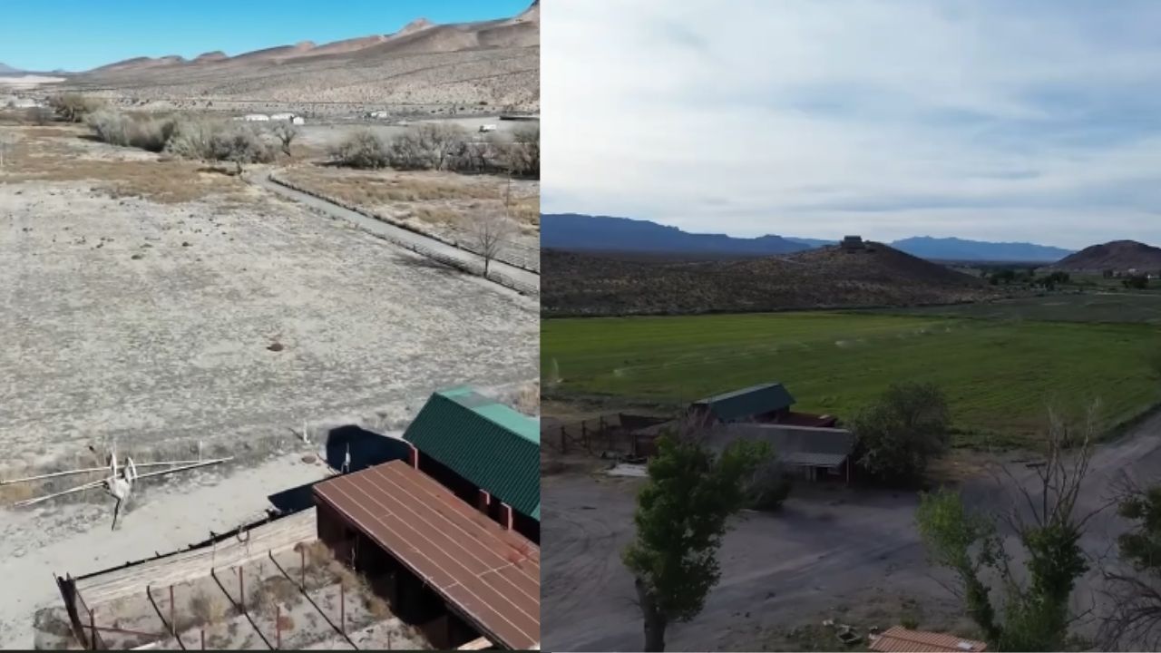 Família compra rancho abandonado de 110 acres em Nevada, encontra restaurante, loja, apartamentos, casas, açougue e galpões, remove toneladas de lixo, enfrenta vazamentos diários (3)