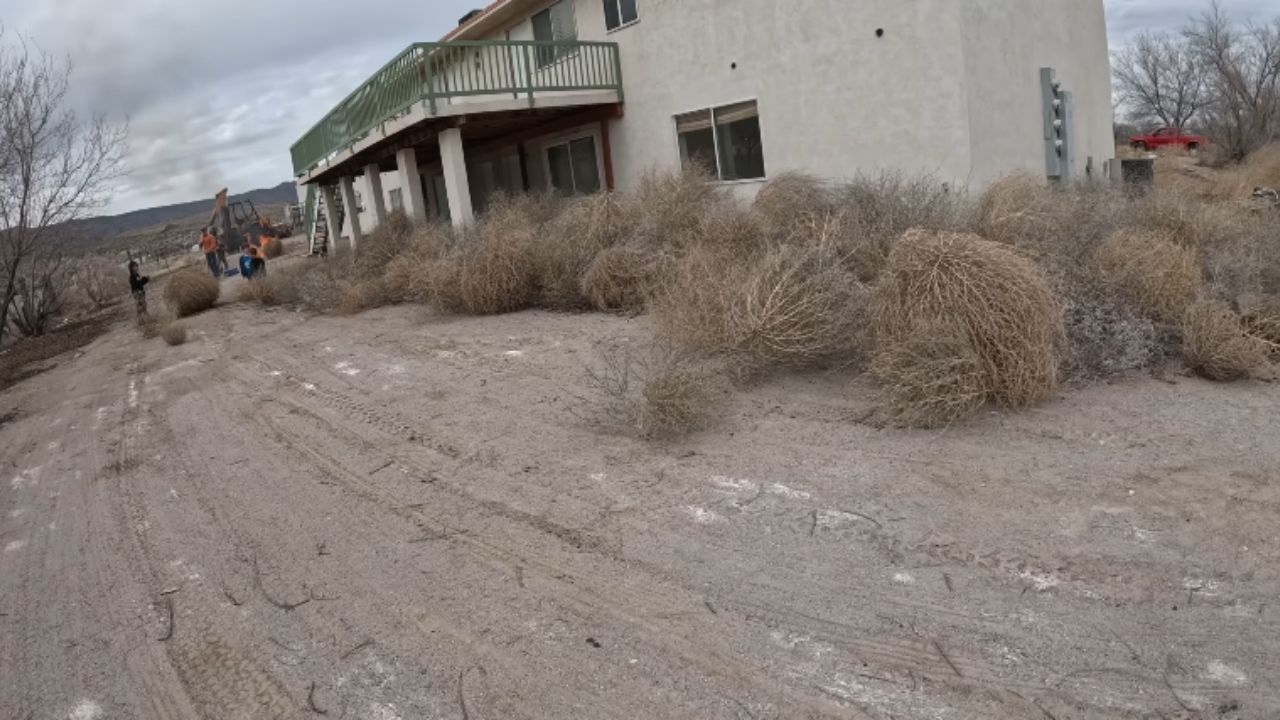 Rancho abandonado tem campos, vazamentos, irrigação e aluguel em reconstrução familiar no sul de Nevada.