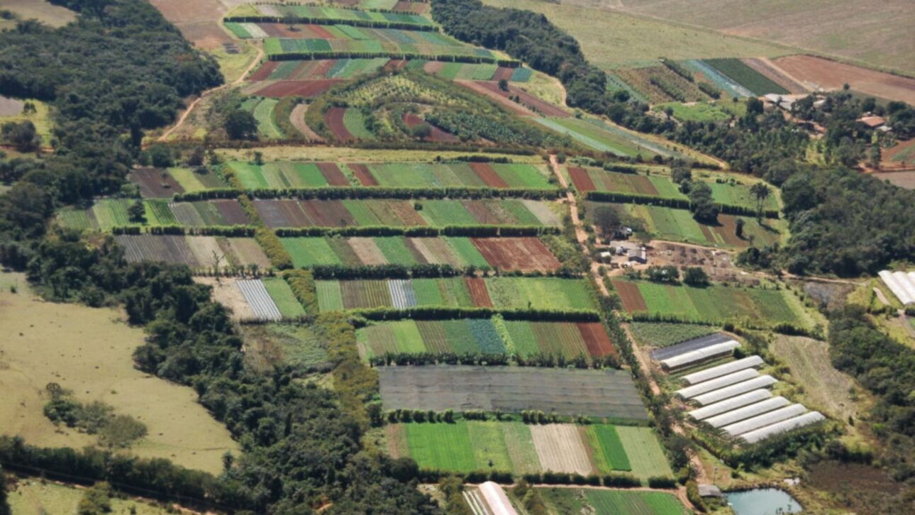 Fazenda Malunga começou com uma produção pequena e venda direta em feiras