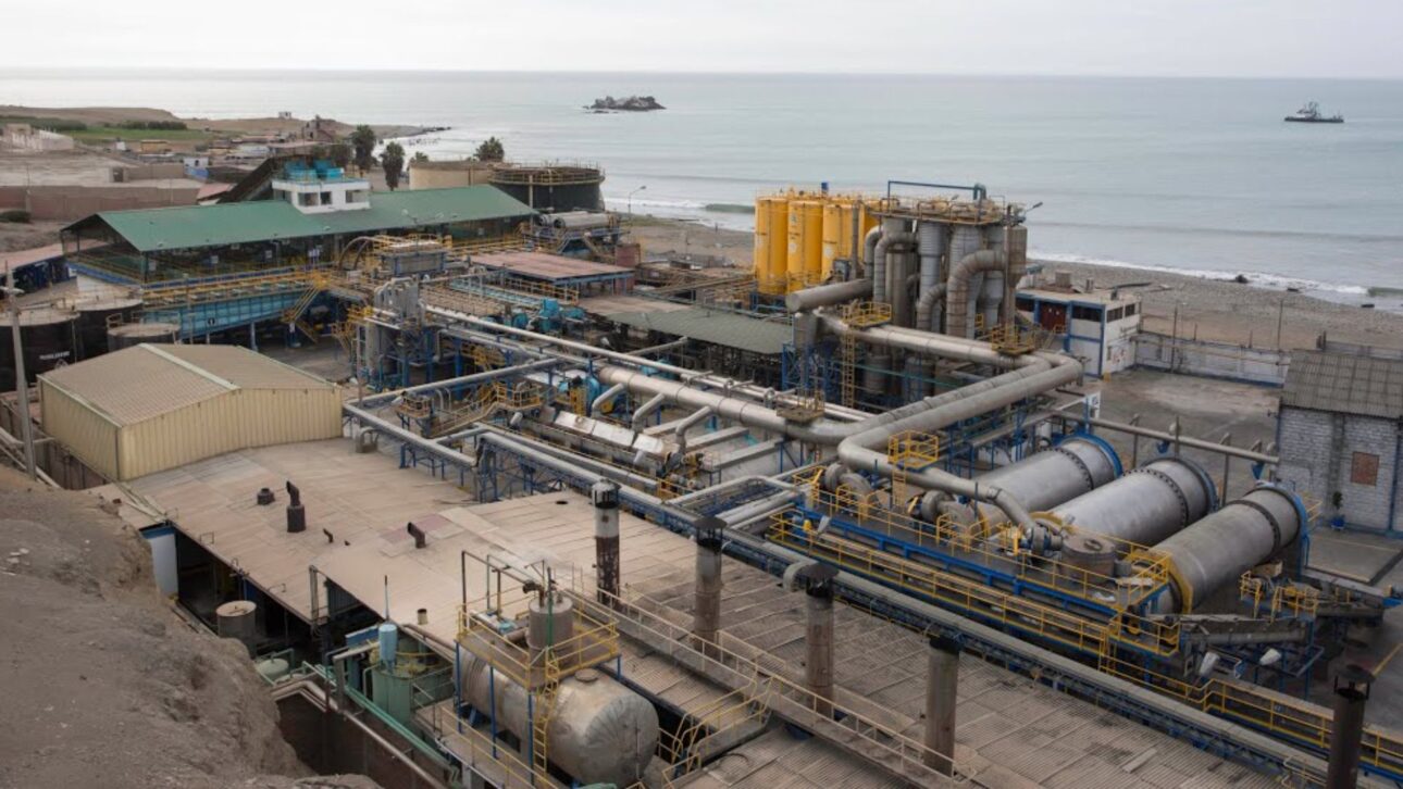 Anchoveta transforma o Peru em potência global, impulsiona exportações e movimenta a indústria bilionária de farinha e óleo de peixe.
