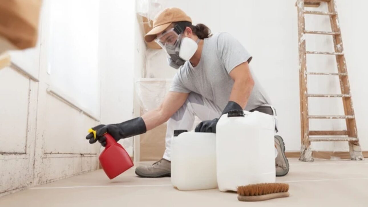 Aprenda como remover mofo da parede sem cloro usando bicarbonato e água oxigenada, preservando a pintura e reduzindo o risco de novas manchas.