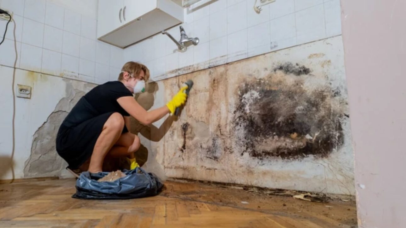 Aprenda como remover mofo da parede sem cloro usando bicarbonato e água oxigenada, preservando a pintura e reduzindo o risco de novas manchas.