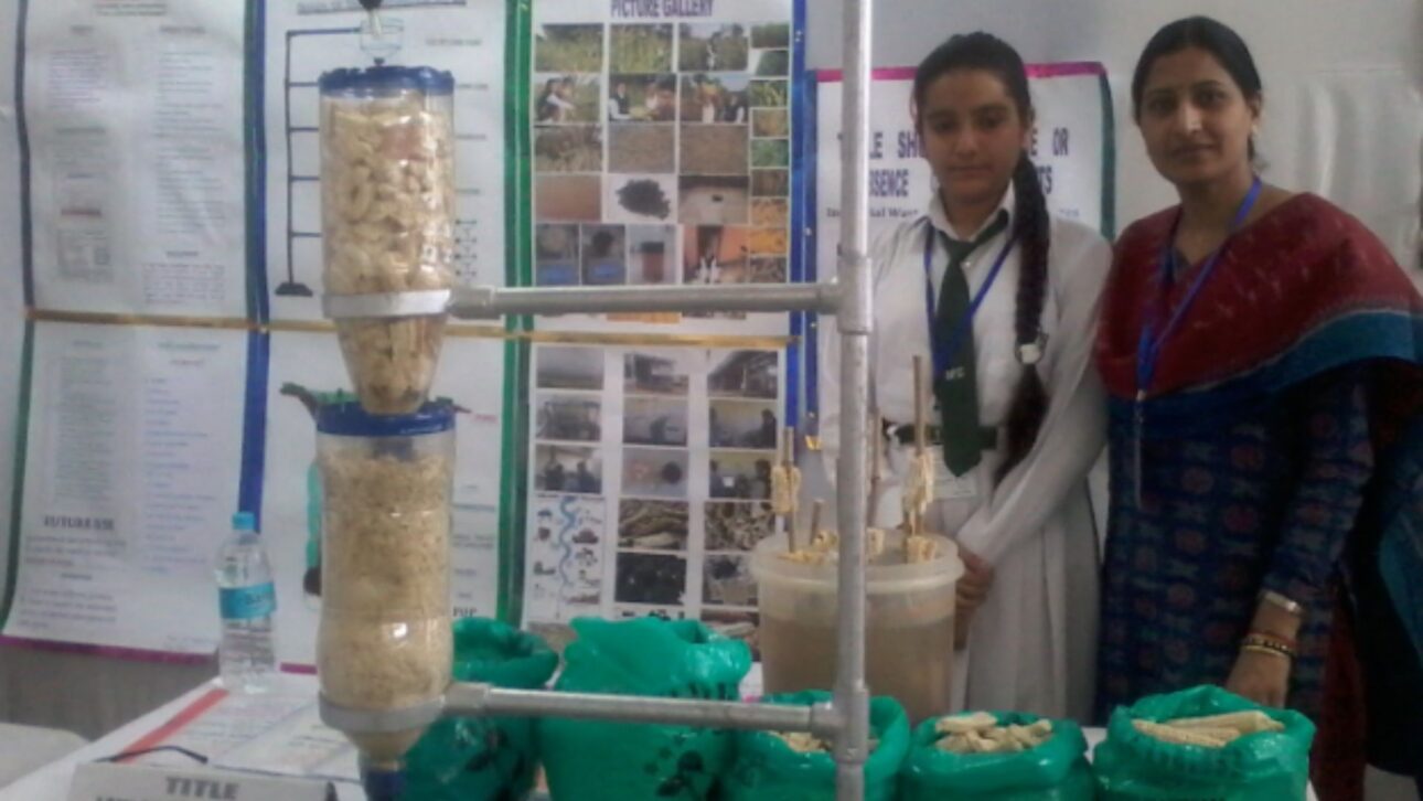 Menina indiana criou purificador de água com sabugos de milho descartados e venceu prêmio do Google por invenção de baixo custo social.