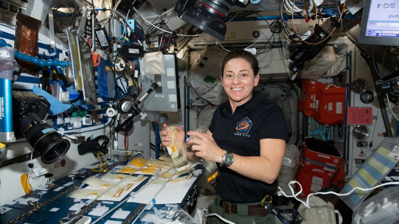 Astronautas tiveram bactérias intestinais alteradas após voo espacial, apontando risco invisível para missões longas rumo a Marte.