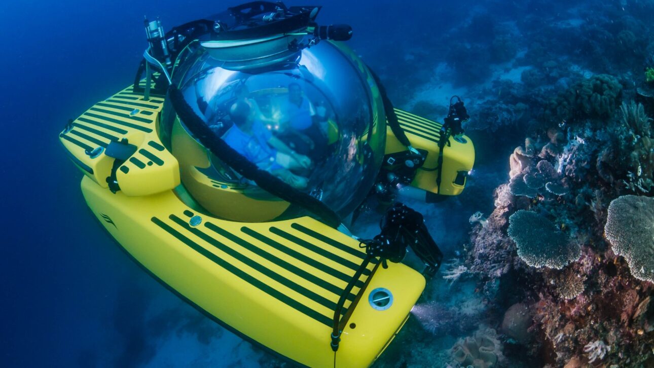 OceanXplorer reúne submarinos, robôs abissais e laboratórios genéticos para explorar áreas profundas e pouco vistas do oceano em detalhes.