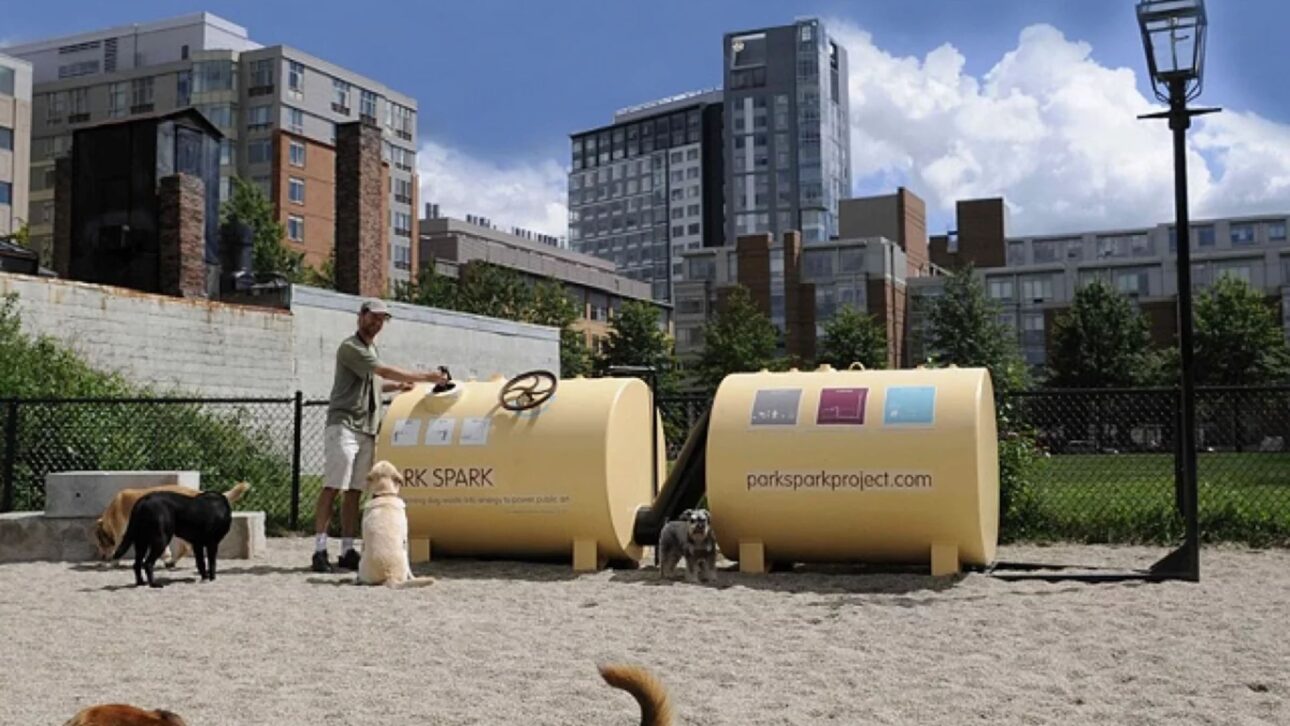 Projeto no Reino Unido transforma fezes de cachorro em biogás para acender luminária pública e reduzir resíduos em trilhas e parques.