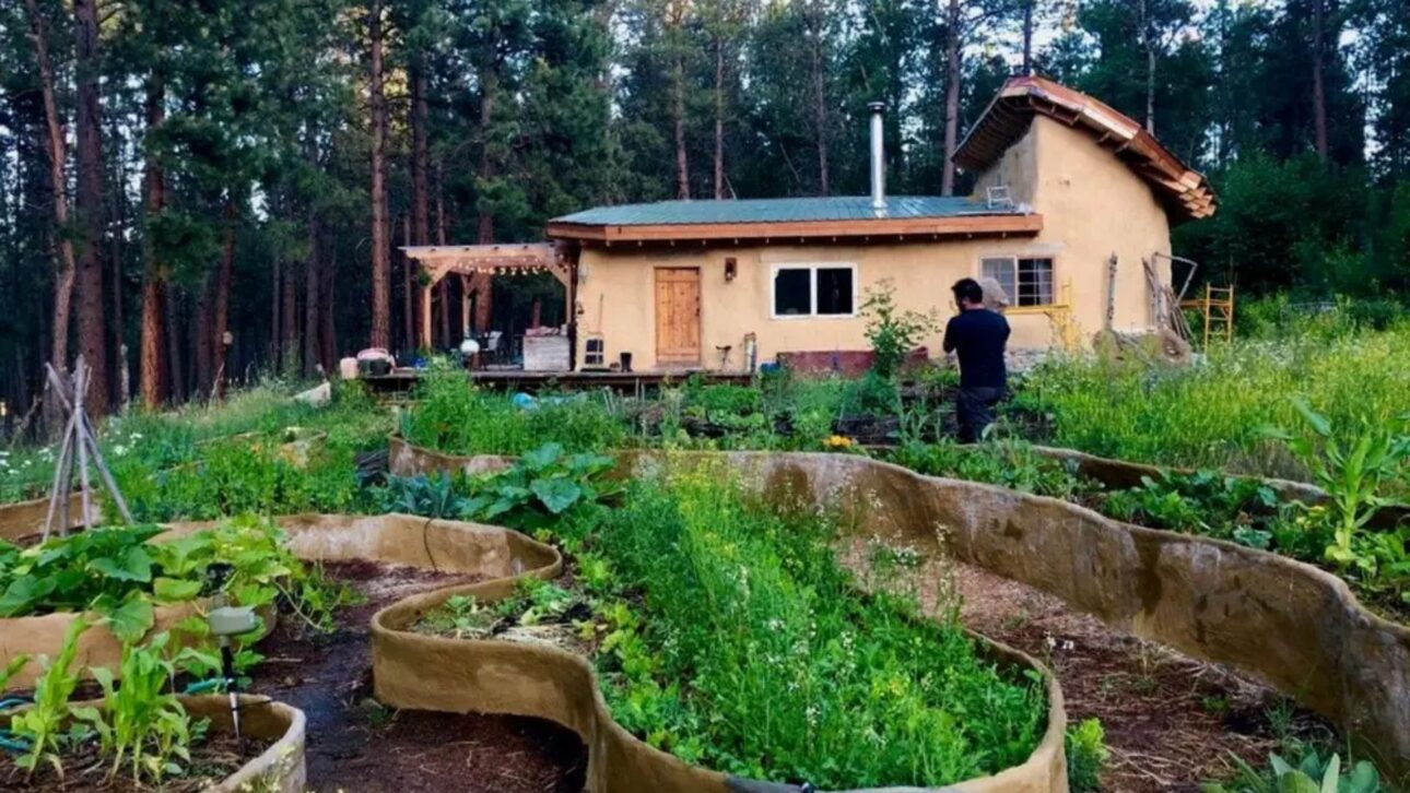 Casal sem experiência constrói casa de cob em Montana por menos de US$ 20 mil e vive sem hipoteca com argila, areia e palha.