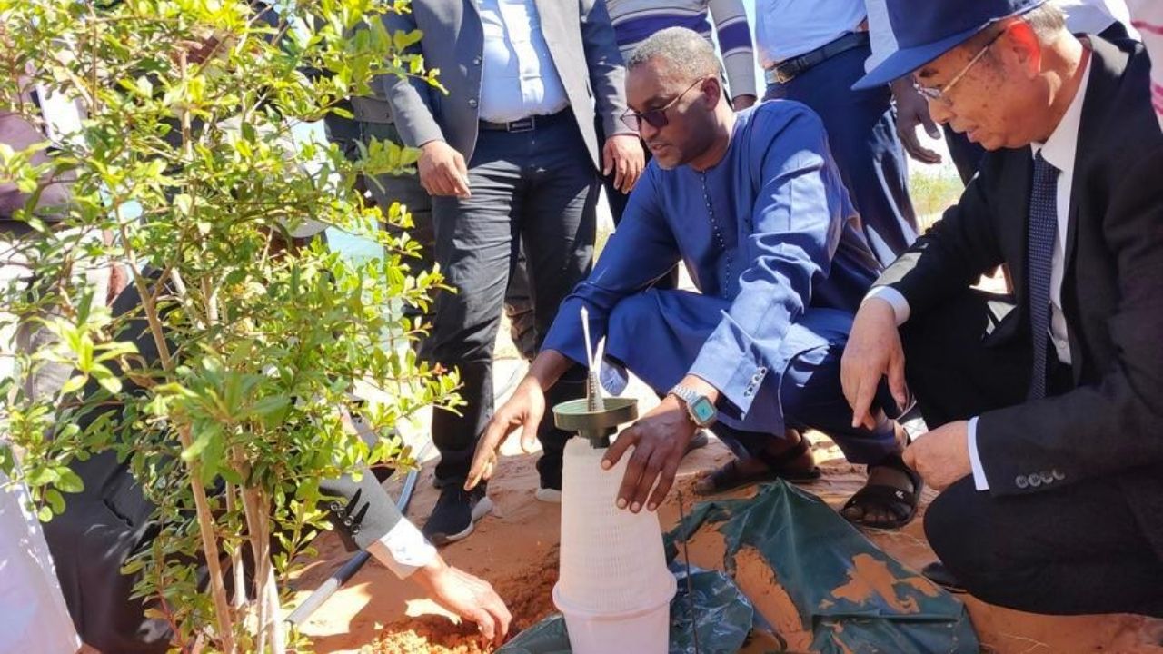 Seca no Planalto de Loess leva inventor a criar retenção de água para mudas e restauração ecológica na China.