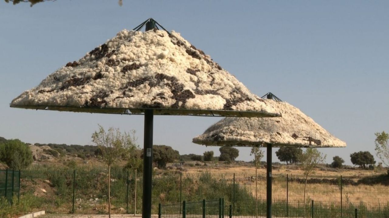 Lã vira guarda-sóis com conforto térmico, isolamento térmico e economia circular em vila espanhola que tenta valorizar material rural.
