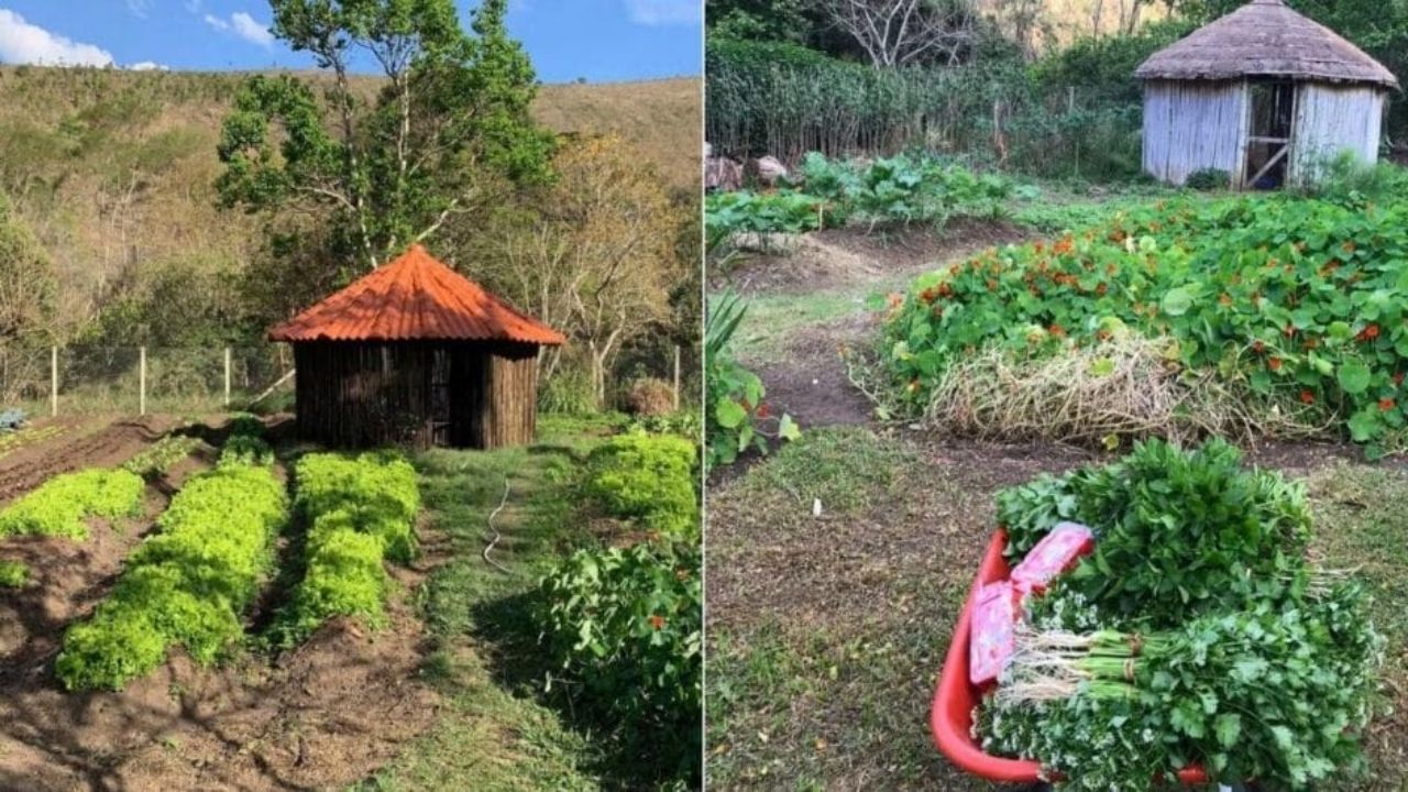 A fazenda de Marcos Palmeira em Teresópolis reúne produtos orgânicos, agrofloresta e Mata Atlântica preservada em 200 hectares.