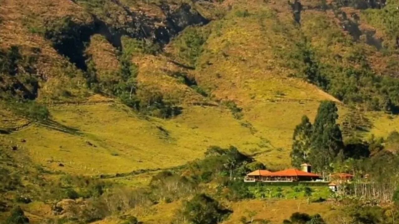 A fazenda de Marcos Palmeira em Teresópolis reúne produtos orgânicos, agrofloresta e Mata Atlântica preservada em 200 hectares.