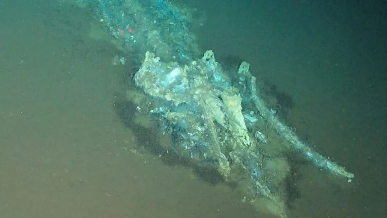 Whale cemetery in the Indian Ocean reveals submarine corridor at the ocean floor, in the Diamantina zone, and deep life.