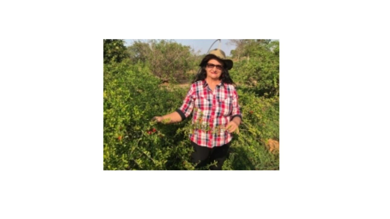 uma ex-comerciante largou o balcão do mercadinho, embrenhou-se no Cerrado e transformou buriti, pequi e cagaita frutos que apodreciam no chão da roça em uma fábrica de polpas registrada