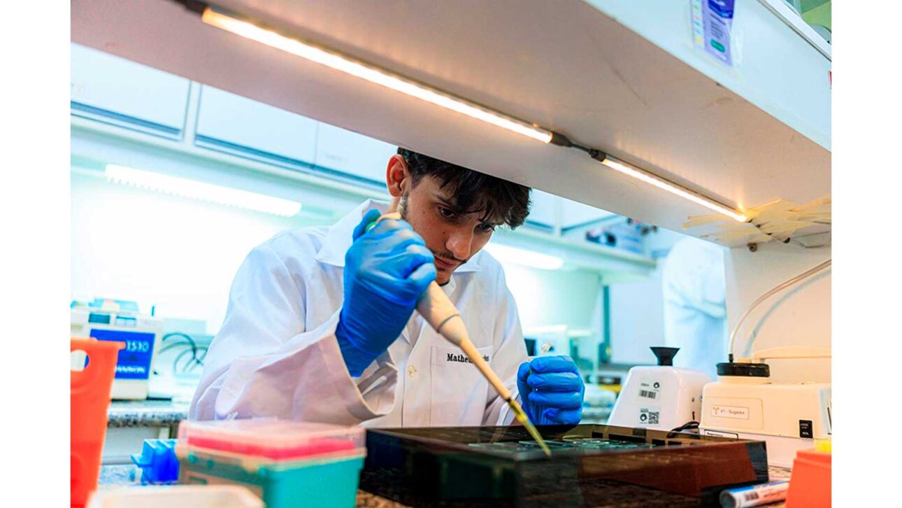 No laboratório, reagentes separam os folículos em diferentes tipos de células.