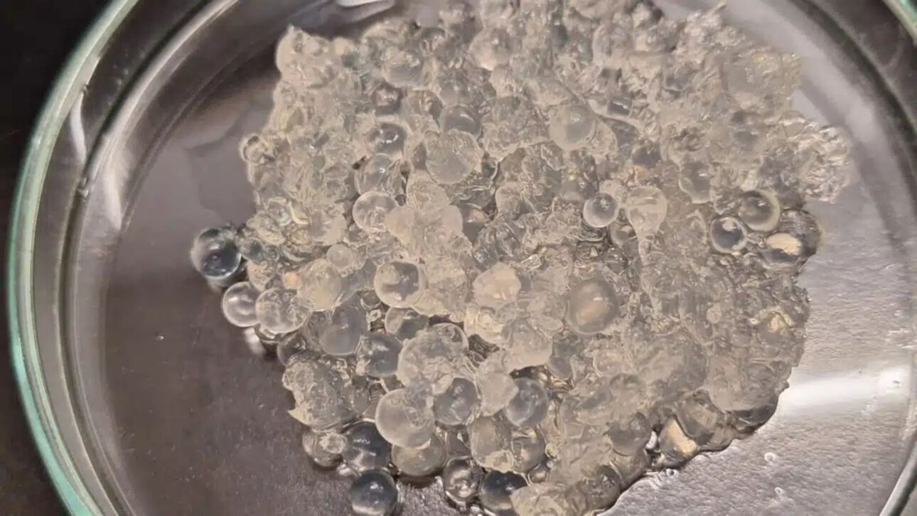 Sample of the hydrogel developed by the University of Seville.