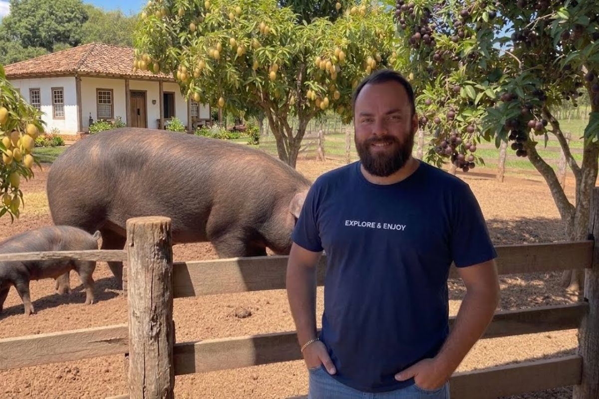 No interior de Minas, um zootecnista cria porcos caipiras de mais de 100 kg soltos, no milho e na lama. Veja como o modo antigo virou a principal renda da família.