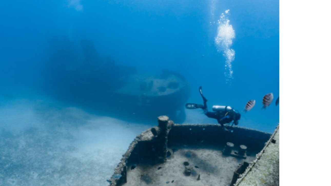Casco de um dos navios que formam o parque de naufrágios de Pernambuco, coberto por cardumes durante uma descida. (Foto: Profundo no Mundo)