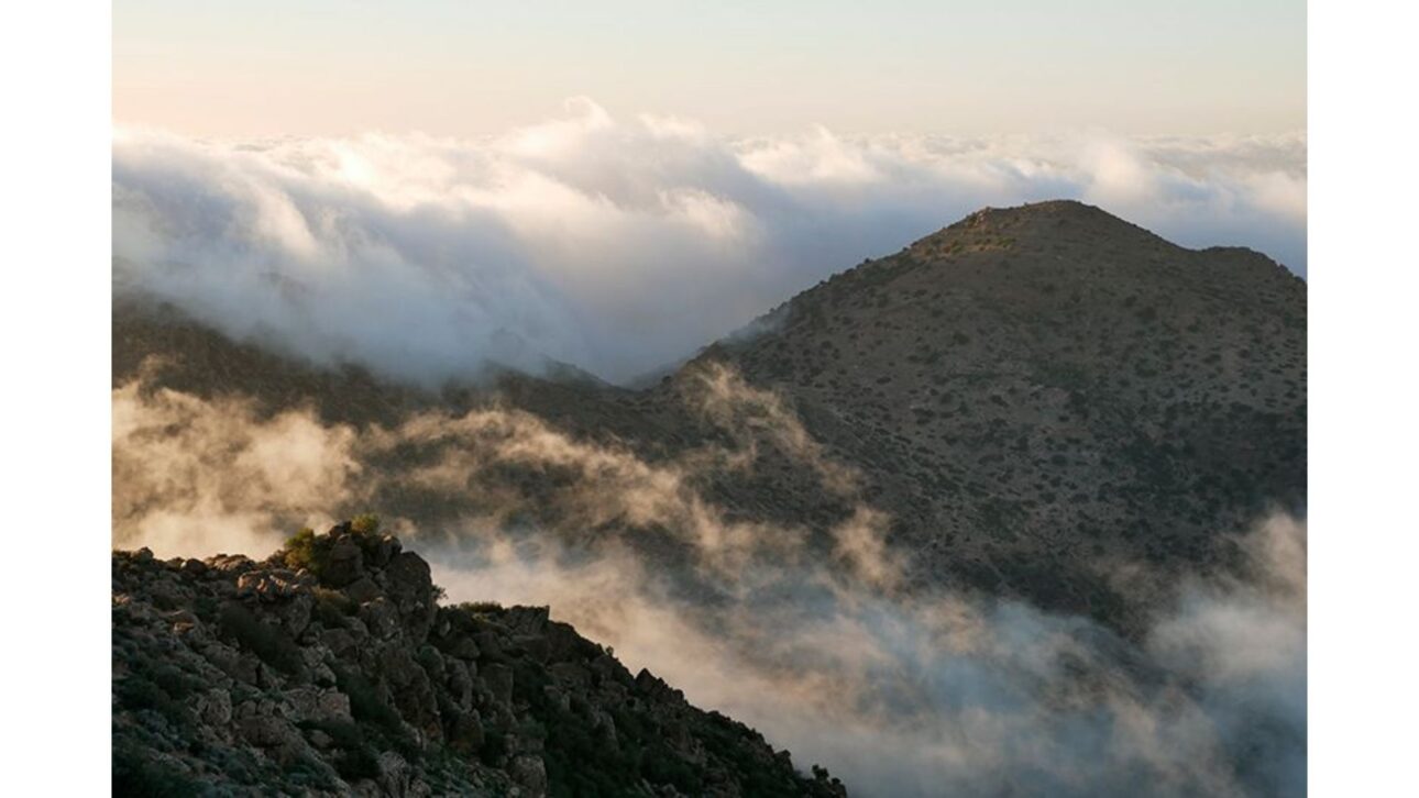 Após a conclusão da instalação em Marrocos, a Aqualonis estima que o sistema produzirá aproximadamente 37.400 litros de água por dia de neblina.