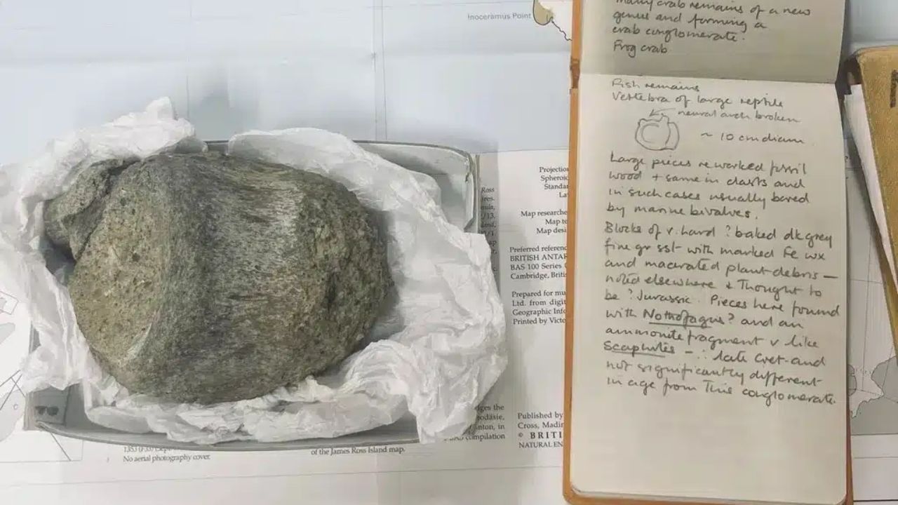 Osso de dinossauro na Antártida revela titanossauro da Ilha James Ross após confusão com fósseis marinhos por décadas.