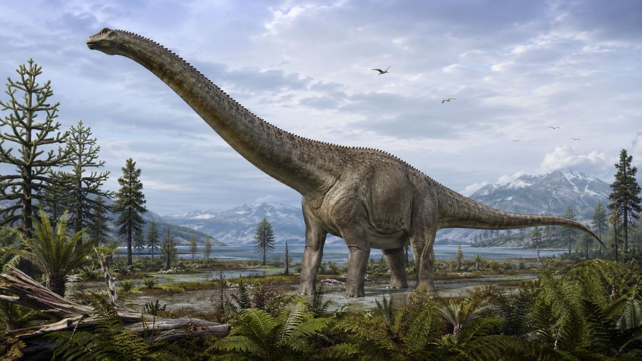 Osso de dinossauro na Antártida revela titanossauro da Ilha James Ross após confusão com fósseis marinhos por décadas.