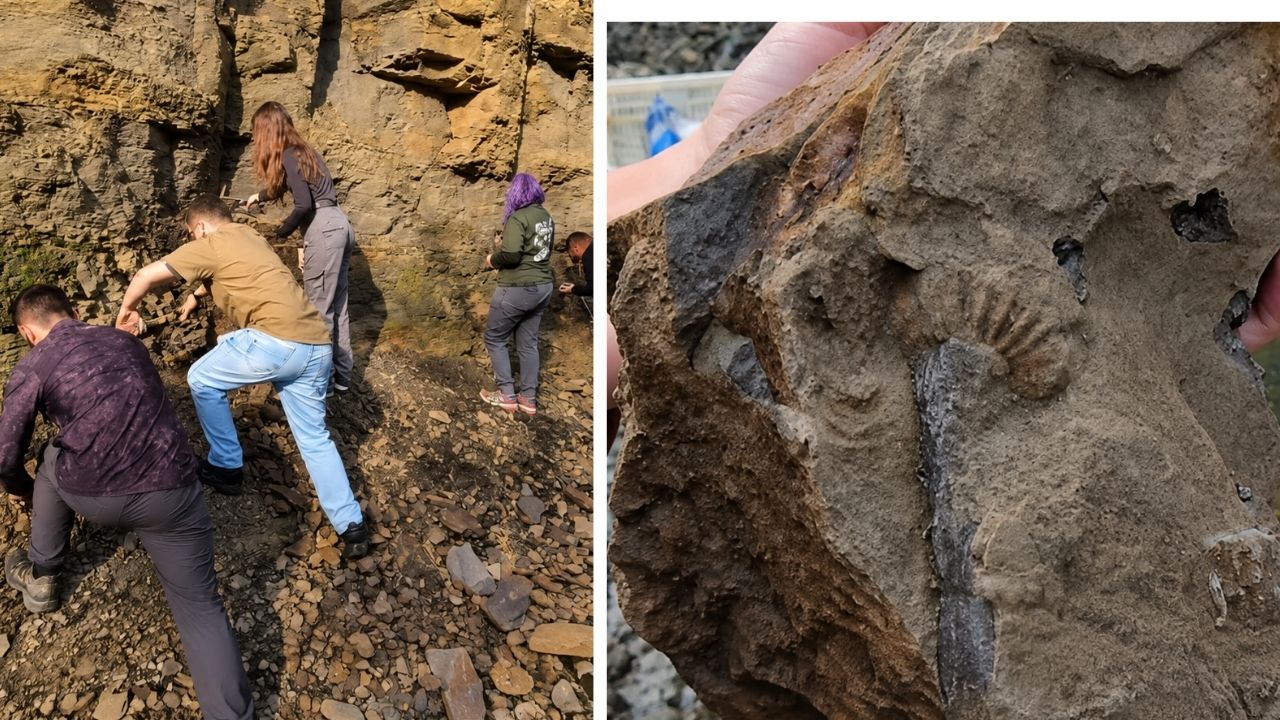 Paraná já foi fundo do mar há 400 milhões de anos, e cientistas da UEPG encontraram fóssil de molusco nunca registrado em Ponta Grossa, transformando rochas expostas em prova (3)
