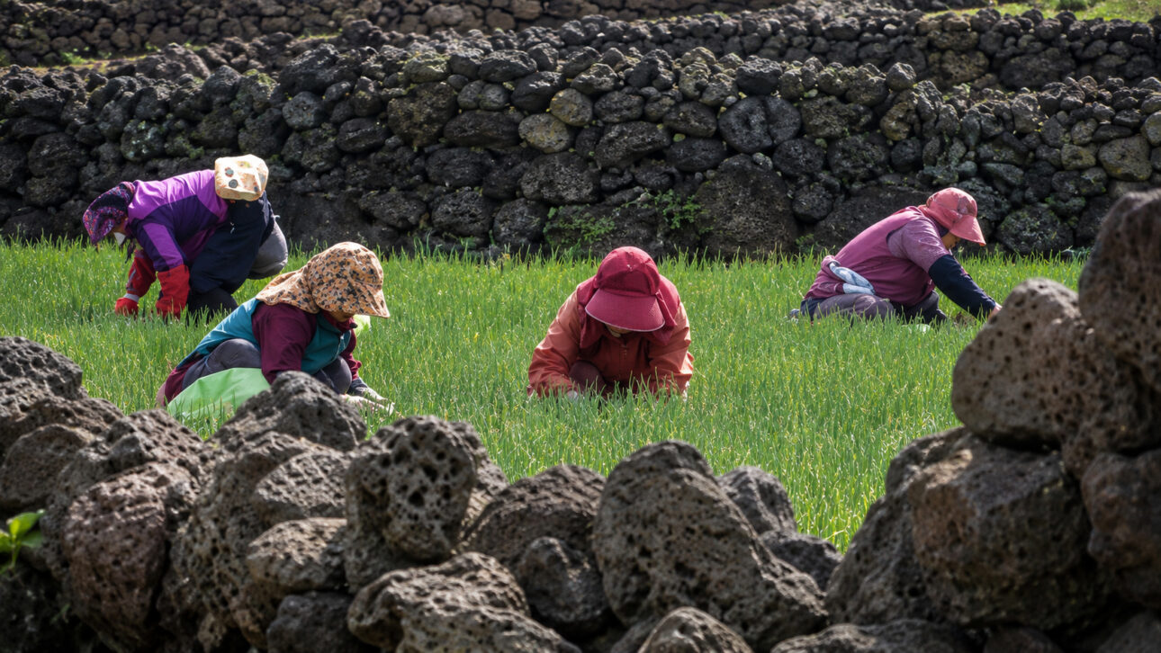 22,000-kilometer network protects agriculture for over a thousand years