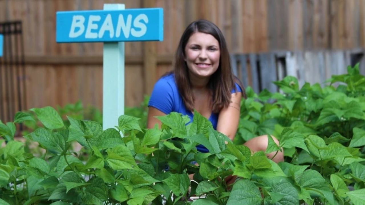 História do repolho gigante de Katie Stagliano inspira Katie’s Krops, hortas comunitárias e alimentos frescos contra a fome.