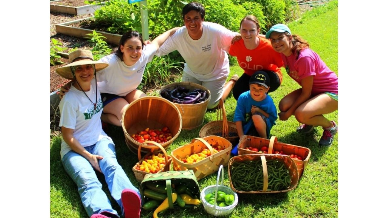 História do repolho gigante de Katie Stagliano inspira Katie’s Krops, hortas comunitárias e alimentos frescos contra a fome.