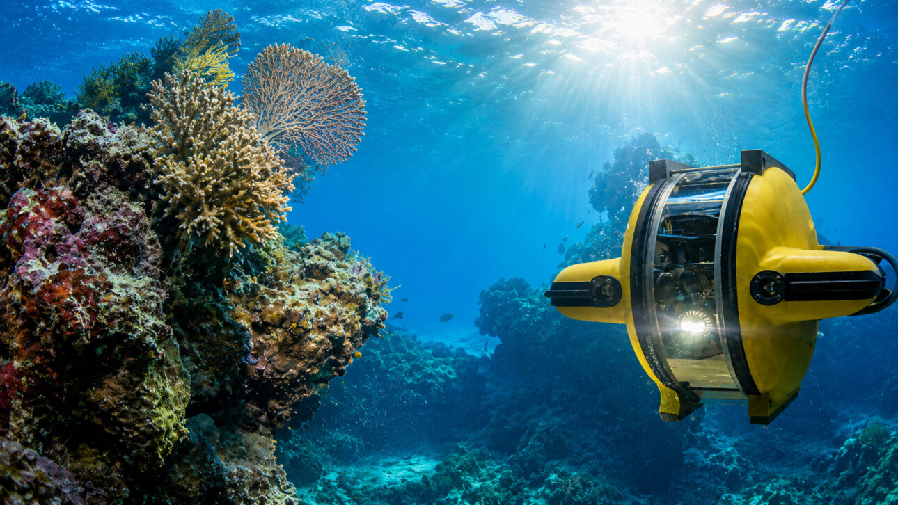 Robôs para turbinas eólicas no mar