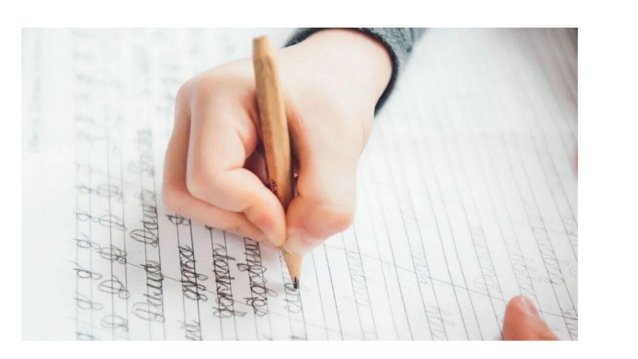 Foto:
Aleksandra Nigmatulina / iStock