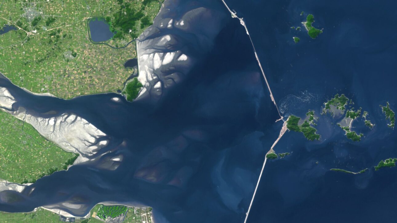 A 33.9 km wall in the sea transformed 409 km² of the ocean into land in South Korea, created an area larger than Belo Horizonte, and erased one of the largest migratory bird stops in Asia.