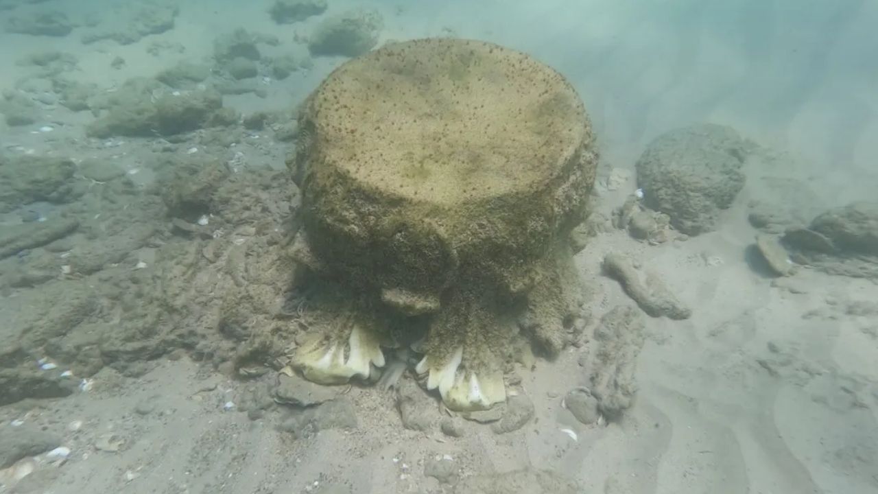 Colunas de mármore em naufrágio romano no Mar Mediterrâneo, em Israel, revelam pistas sobre arquitetura romana antiga.