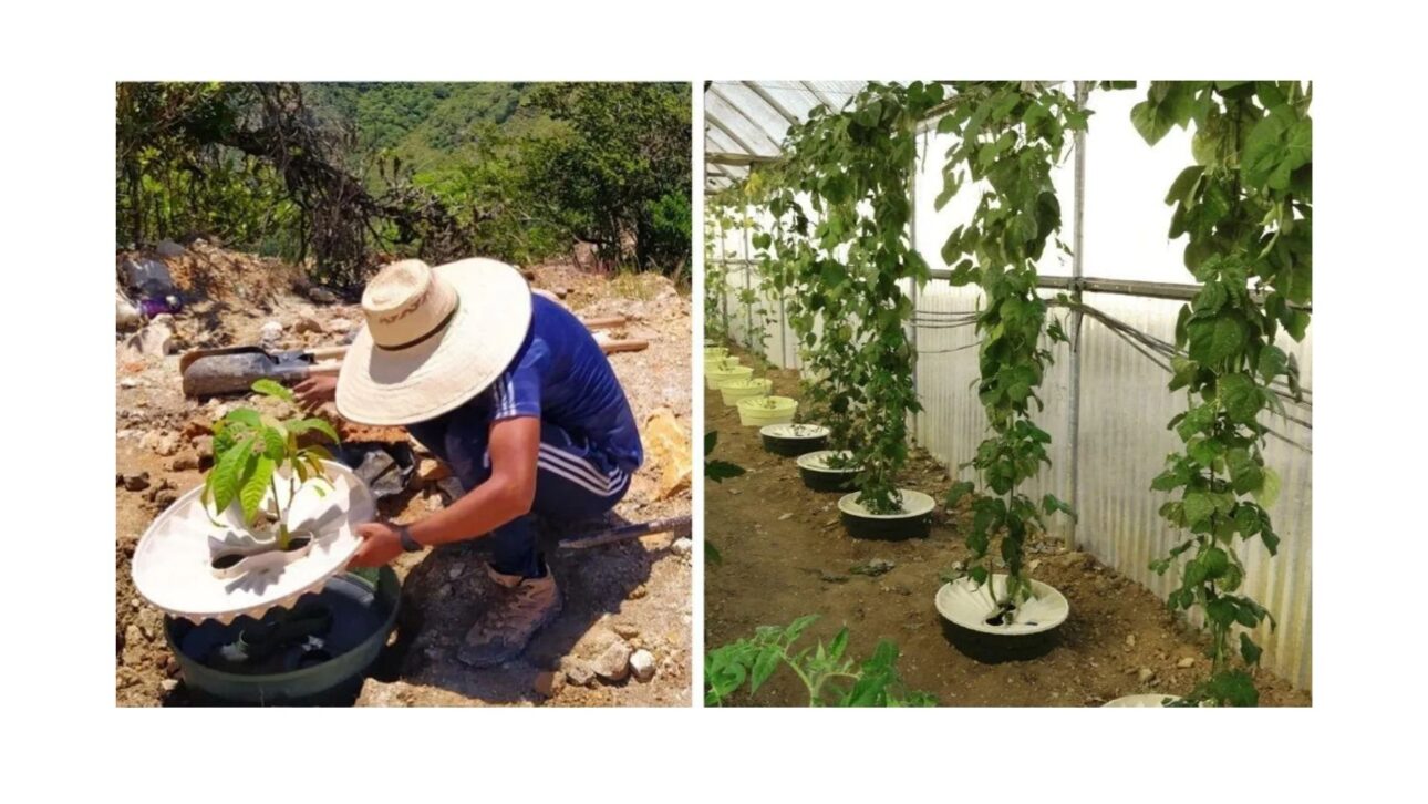 O holandês Pieter Hoff criou a Groasis Waterboxx, a caixa que faz árvores crescerem no deserto com até 90% de sobrevivência e 90% menos água.