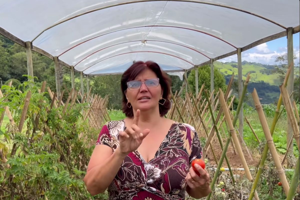 Silmara trocou a cidade pela Serra da Mantiqueira com o marido. No Sítio Serra Dourada, a mulher produz orgânicos, recebe turistas e mostra a rotina real da roça.