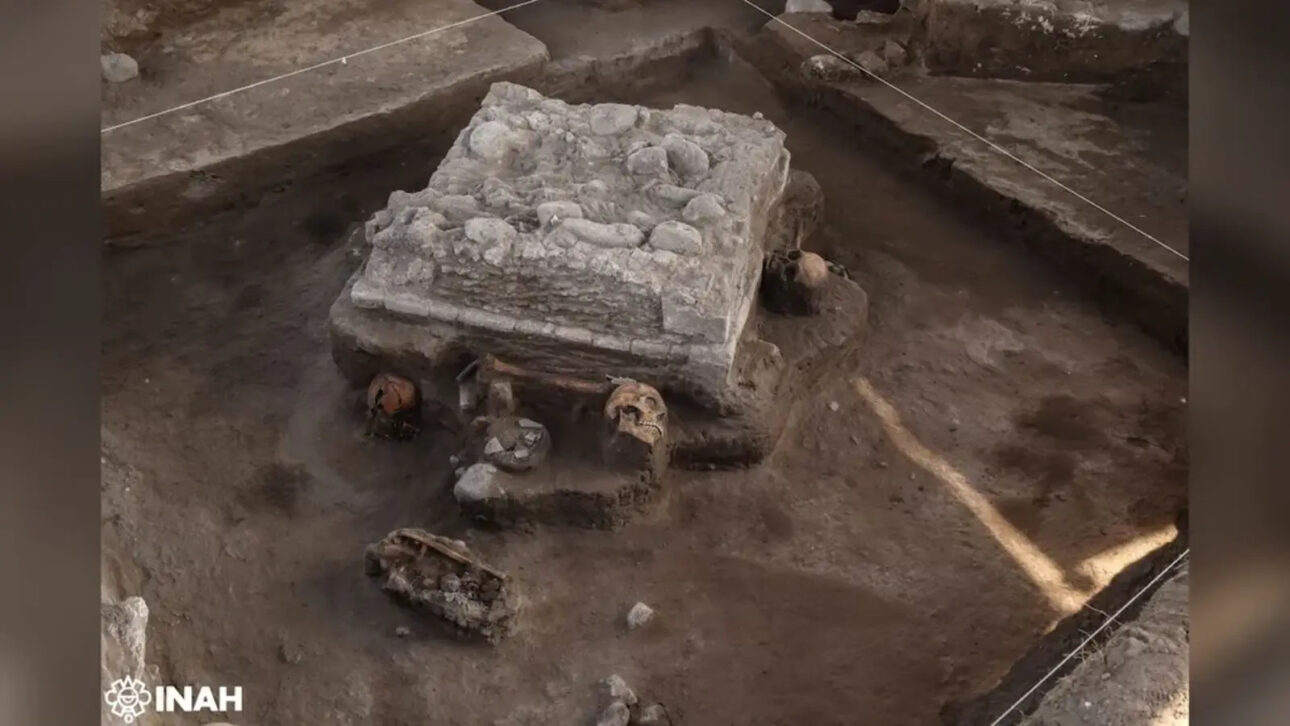 Obra de transporte no México revela altar tolteca de 1.000 anos cercado por crânios humanos, ossos, facas de obsidiana e sinais de decapitação ritual