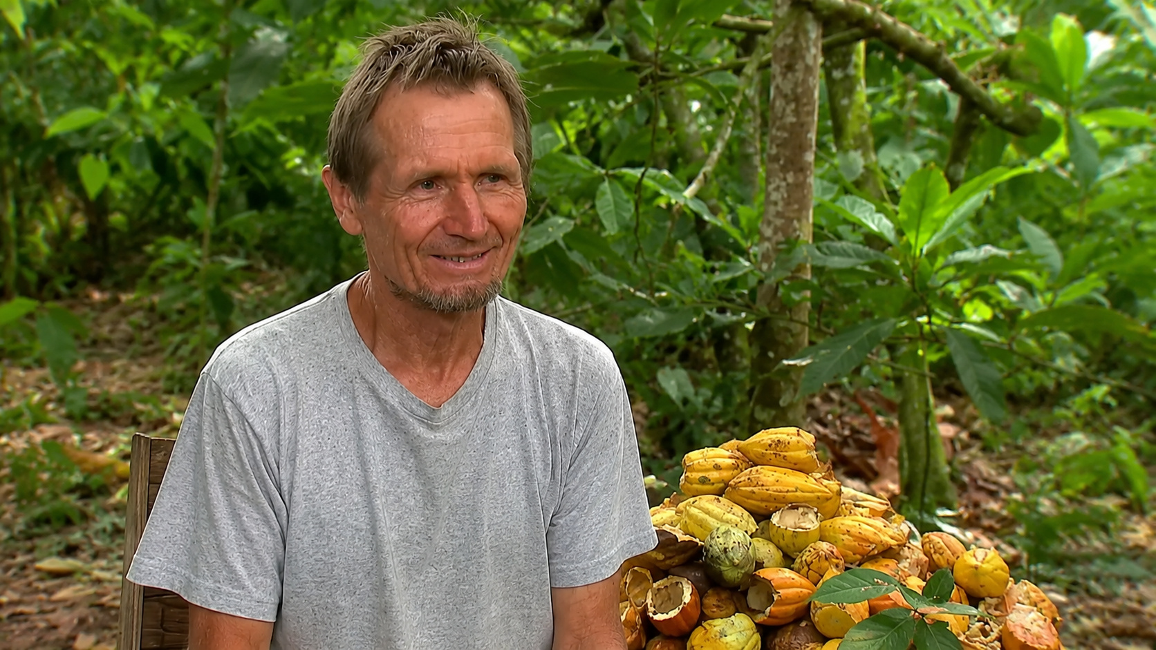 Ernst Götsch em uma área de agrofloresta na Fazenda Olhos d’Água, cercado por vegetação densa e frutos de cacau cultivados pelo sistema de agricultura sintrópica.