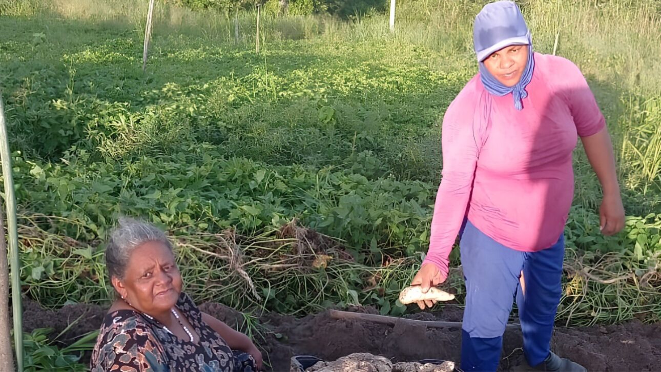 Flávia Santos, Jacaraú, agricultura familiar e 300 toneladas por ano mostram como um pequeno sítio virou referência de produção rural na Paraíba.