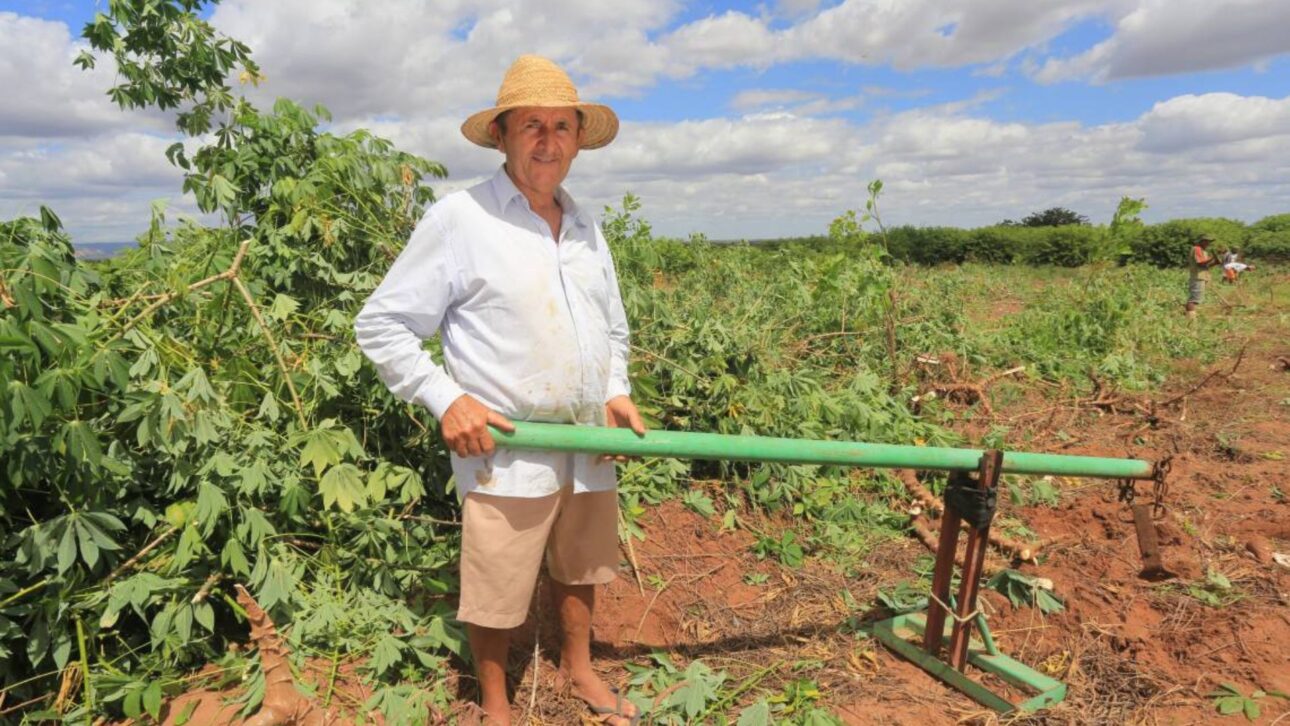 Tool with lever, wheels, and movable claw reduces effort in cassava harvesting